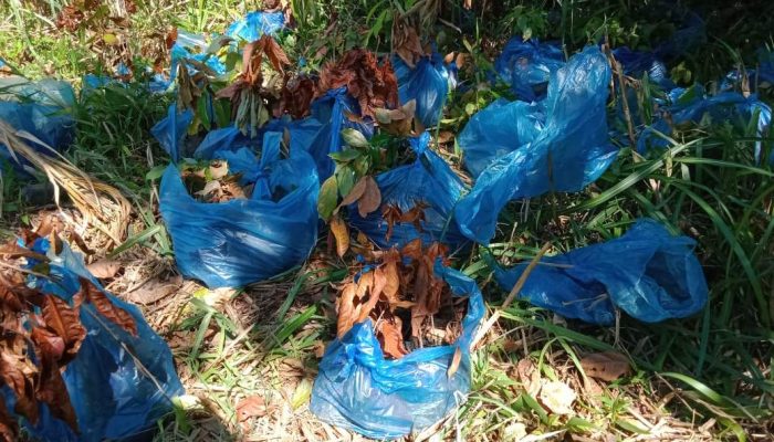 F.PARAL Tuding Kegiatan Multiyears RHL di Gayo Lues Disinyalir Adanya Usur Korupsi
