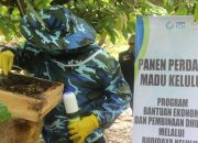 Sarang Madu Kelulut Milik Petani Binaan ACT Aceh bersama YBM PLN Dipanen ⁣