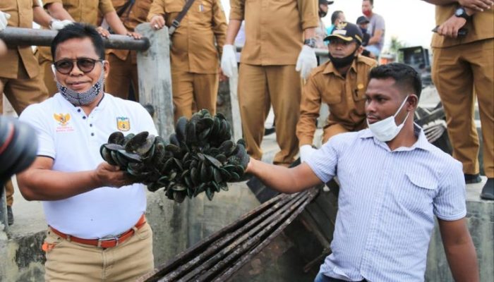 Wali Kota Akan Kembangkan Budidaya Kerang Hijau di Alue Naga
