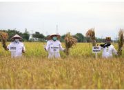Mentan Puji Keberhasilan Pertanian Aceh Besar
