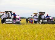 Menteri Pertanian Dukung Pengembangan Ekonomi Petani di Aceh
