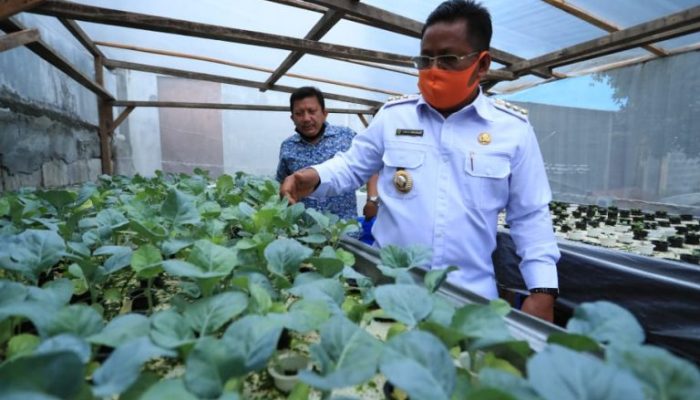 Wali Kota Banda Aceh Resmikan Restoran Berkonsep Kebun Hidroponik