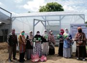 DPPKP Kota Banda Aceh Monitoring Awal Kegiatan Pekarangan Pangan Lestari
