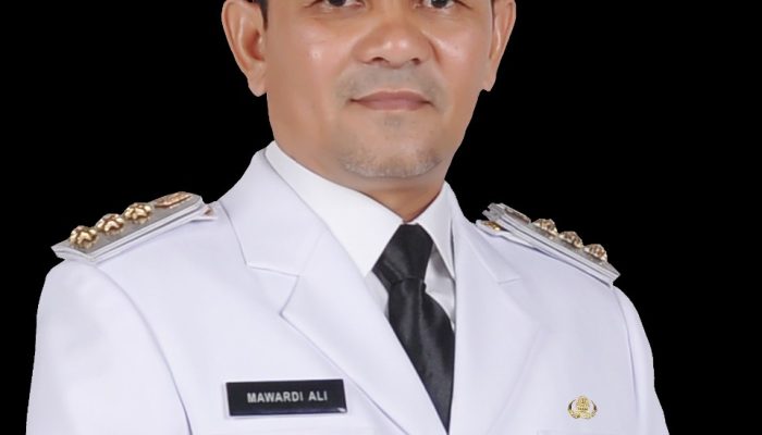 Bupati Aceh Besar Terima Penghargaan dari Menteri Kesehatan