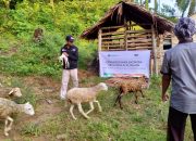 Nurlina, dari Penerima Manfaat Menjadi Donatur Pembangunan Masjid Sekaligus Mitra ACT Aceh