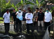 Wali Kota Tabur 16 Ribu Benih Ikan di Gampong Lamdom