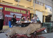 Polisi dan BKSDA Aceh Sita Satwa Dilindungi di Rumah Bandar Sabu