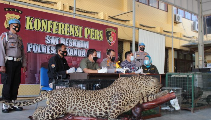 Polisi dan BKSDA Aceh Sita Satwa Dilindungi di Rumah Bandar Sabu