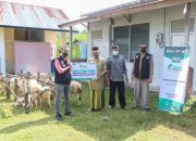 Global Wakaf ACT Aceh Salurkan Domba ke Dayah Al-Mahfudhah