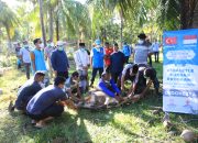 Wabup Aceh Besar Hadiri Pelaksanaan Qurban Bantuan Masyarakat Turki