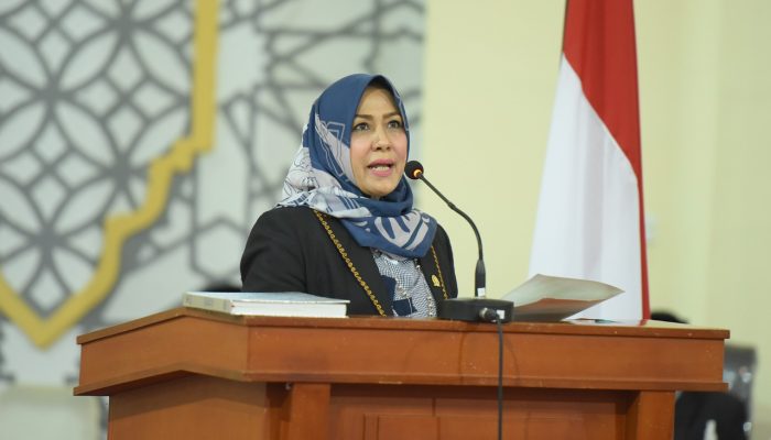 Fraksi PPP-PA Dorong Pemerintah Tingkatkan PAD