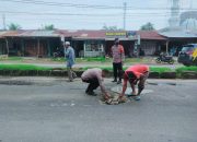 Jalan Raya Berlobang, Ini Yang Dilakukan Polisi