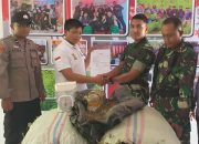 Yonif 117/KY Serahkan Ganja Kering 70 KG ke Polres Aceh Besar