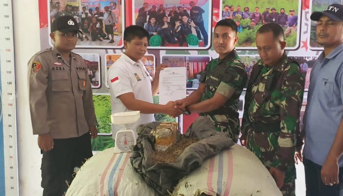 Yonif 117/KY Serahkan Ganja Kering 70 KG ke Polres Aceh Besar