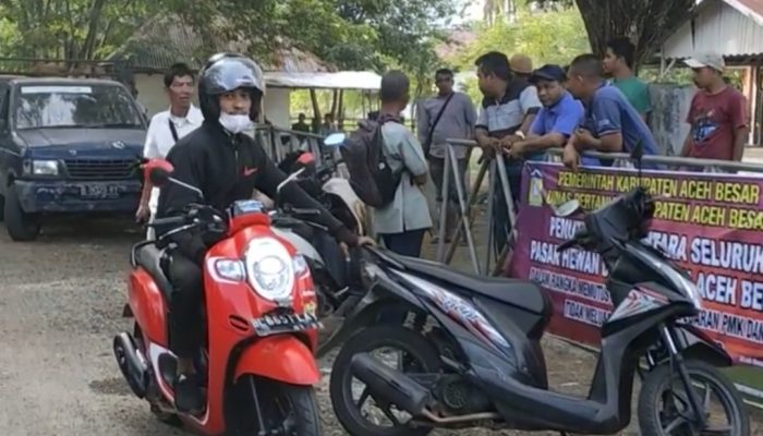 Pemkab Aceh Besar Tutup Pasar Hewan Guna Mencegah Penyebaran PMK