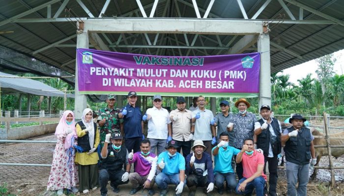 Pj Bupati Aceh Besar Dampingi Sekda Aceh Tinjau Vaksinasi PMK di Montasik