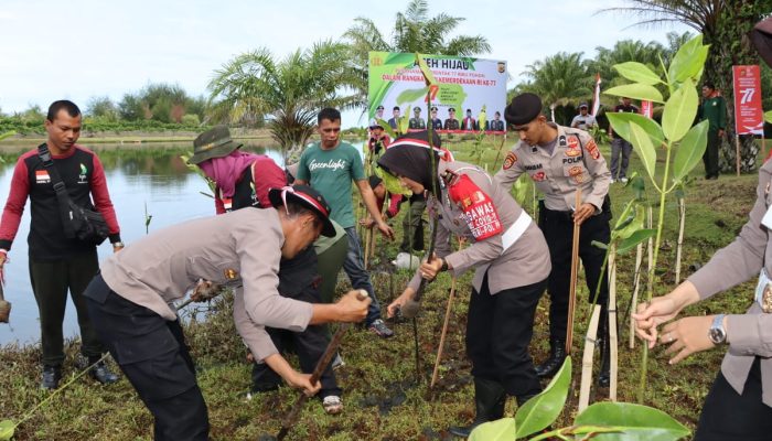 Kapolres Bersama Pejabat Forkopimda Nagan Raya Tanam Mangrove Secara Serentak