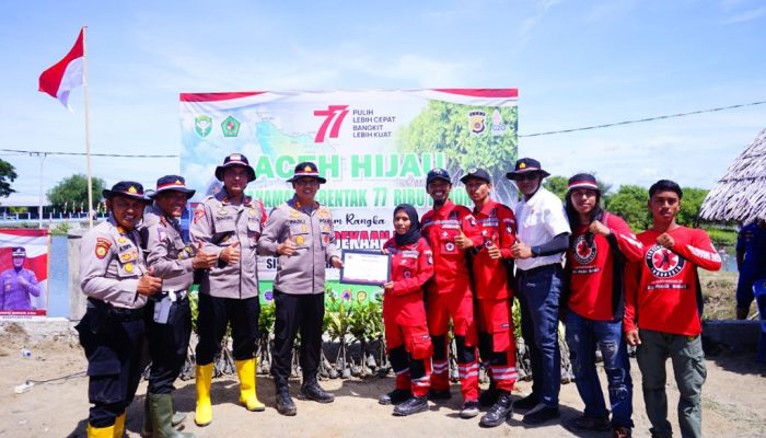 Penanaman Mangrove Serentak, Forkopimda Kabupten Pidie Tanami 3386 Pohon Mangrove