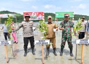 Pj Bupati dan Forkopimda Aceh Besar Tanam Manggrove Program Aceh Hijau di Layeun