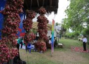 MBKM USK dan Pengusaha Dukung Produktivitas Bawang Merah Masyarakat