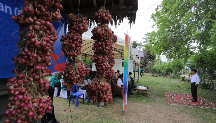 MBKM USK dan Pengusaha Dukung Produktivitas Bawang Merah Masyarakat