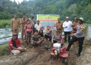 Dua Bhabinkamtibmas Di Simeulue Berdayakan 12 Hektar Lahan Masyarakat Untuk Ketahanan Pangan