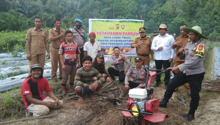 Dua Bhabinkamtibmas Di Simeulue Berdayakan 12 Hektar Lahan Masyarakat Untuk Ketahanan Pangan