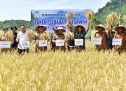 Panen Padi Perdana di Lhoong, Pj. Bupati: Langkah Bersama Menahan Laju Inflasi di Aceh Besar