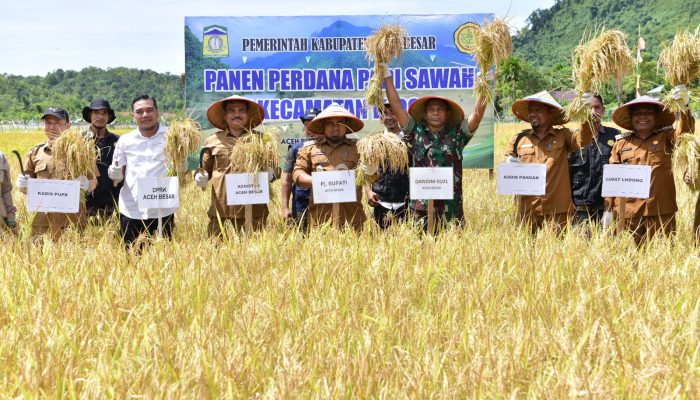 Panen Padi Perdana di Lhoong, Pj. Bupati: Langkah Bersama Menahan Laju Inflasi di Aceh Besar