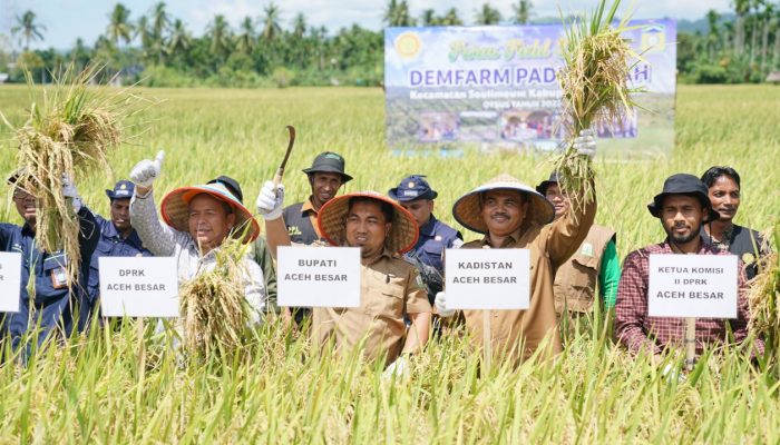 Pj Bupati Panen Padi Unggul Varietas Siliwangi  di Capeung Dayah