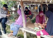 Bhabinkamtibmas di Pijay Bantu Bersihkan Hasil Panen Warga