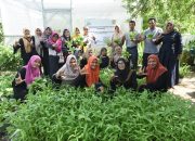 Dukung Program Ketahanan Pangan, Ketua DPRK Apresiasi KWT Banna Tani Gampong Kota Baru