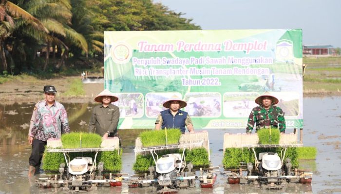 Pj Bupati Aceh Besar Awali Tanam Padi MT Rendengan di Indrapuri