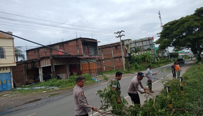 TNI-Polri serta BPBD Bersama Bersihkan Pohon Tumbang di Bandar Dua