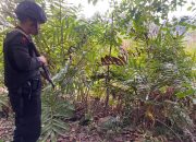 Warga Temukan Granat Tangan di Desa Durung Aceh Besar