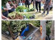Truk Terjun ke Jurang di Aceh Besar Sudah Lima Penumpang Tewas
