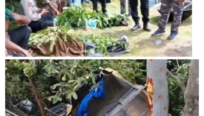 Truk Terjun ke Jurang di Aceh Besar Sudah Lima Penumpang Tewas
