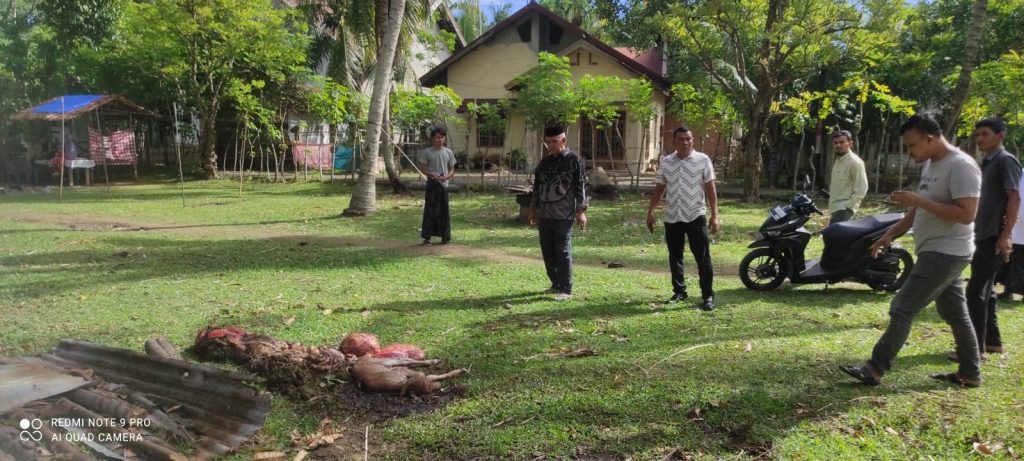 Sindikat Pencurian Ternak Beraksi di Darul Kamal, Tiga Ekor Lembu Diracun