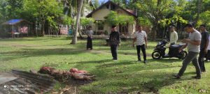 Sindikat Pencurian Ternak Beraksi di Darul Kamal, Tiga Ekor Lembu Diracun