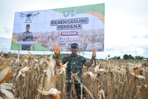 Sukses Panen Perdana Program I’M Jagong yang Diprakarsai Pangdam IM