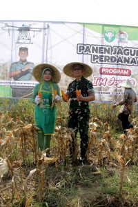 Irdam IM Pimpin Panen Jagung Perdana Program I’M Jagong di Aceh Besar