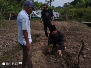 Ketua PWM Aceh Tanam Bibit Durian Musang King di Aceh Jaya