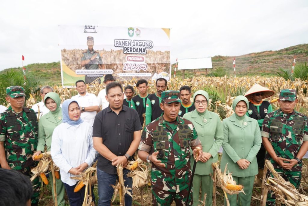 Pangdam IM Panen Jagung Tumpang Sari Program I’M Jagong di Aceh Jaya