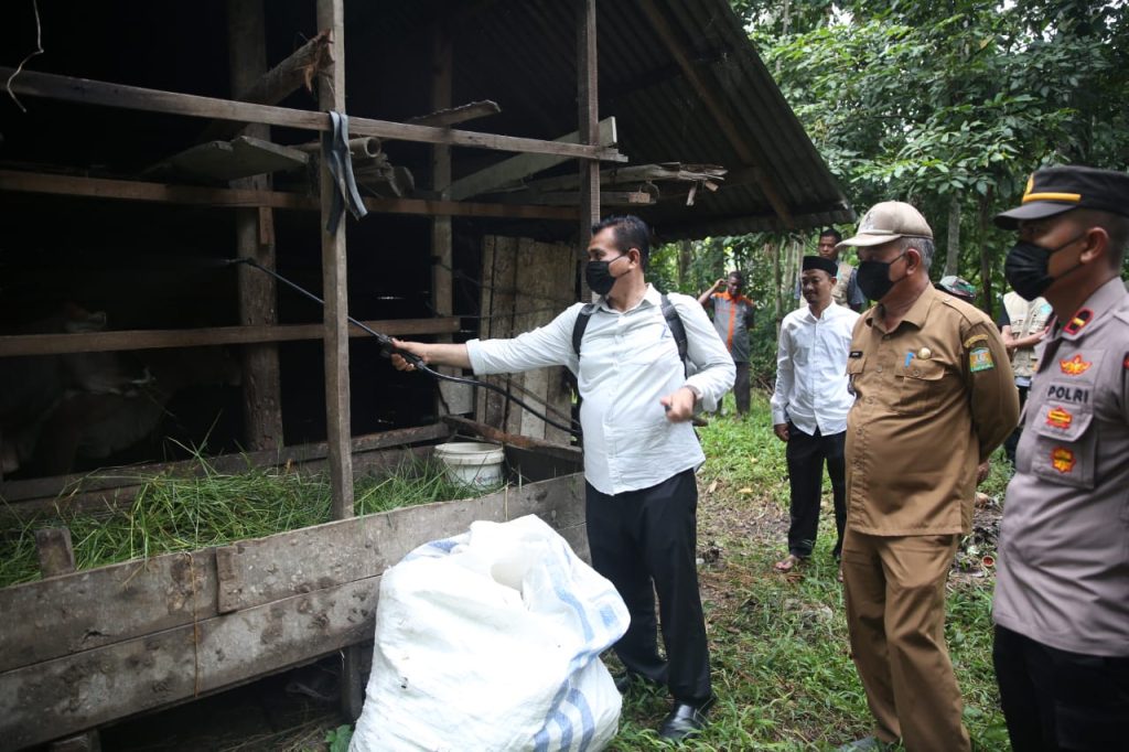 Distan Aceh Besar Tangani Kasus PMK Ternak di Darul Kamal