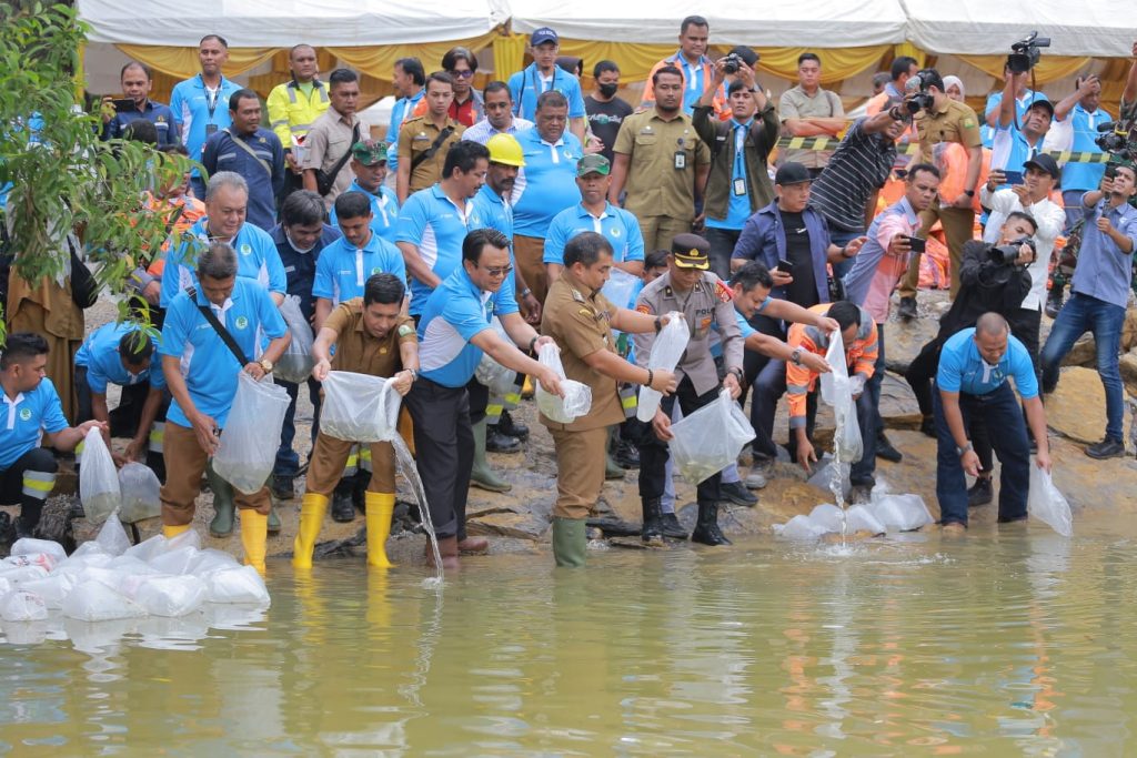 PT SBA Tanam Ribuan Mangrove dan Lepas Ribuan Bibit Ikan Kakap Putih di Sungai Krueng Raba