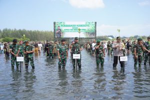 Kasad Tanam 64.500 Bibit Mangrove Secara Serentak di Seluruh Aceh