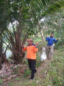 Petugas Pos Damkar BPBD Aceh Besar Tangkap Ular Piton di Kota Jantho
