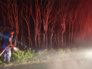 Akibat Bakar Sampah, Lahan Jati di Peukan Bada Ikut Terbakar
