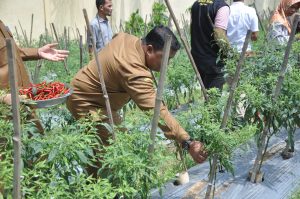 Sekda Aceh Besar Kunjungi BPP Darul Imarah