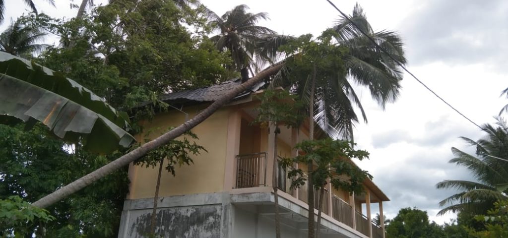 Pohon Tumbang Hantam Gedung Posyandu Gampong